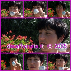 Estate 2024. Mi è stata scattata mentre parlavo, bevendo un caffè, certamente non decaffeinato :-) L'immagine grande al centro è l'originale mentre le sei di dimensioni minori sono state realizzate da Artifigenza Intelliciale. Pur creando sequenze di movimento, mantiene praticamente inalterato il reale aspetto fisico, proponendo pure certe espressioni fedeli.